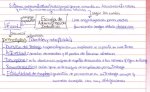 letra.jpg
