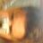 marilogica123