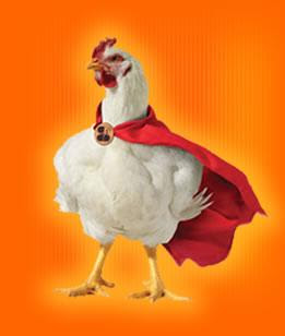 pollo+sin+cabez.jpg