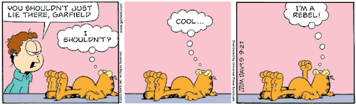 tumblr_m1x36sYDSC1r3i2kko1_500.gif