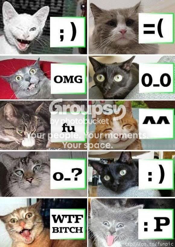 Gatossmileys.jpg